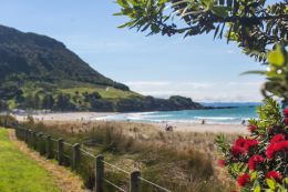 mauao mount mauganui